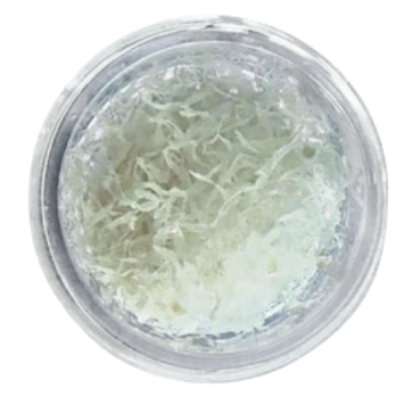 Ritter Implants Fibers 1cc RITTM-PRF-445010