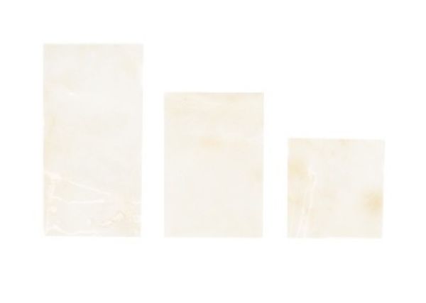 Picture of Chorion/Chorion 1x2cm