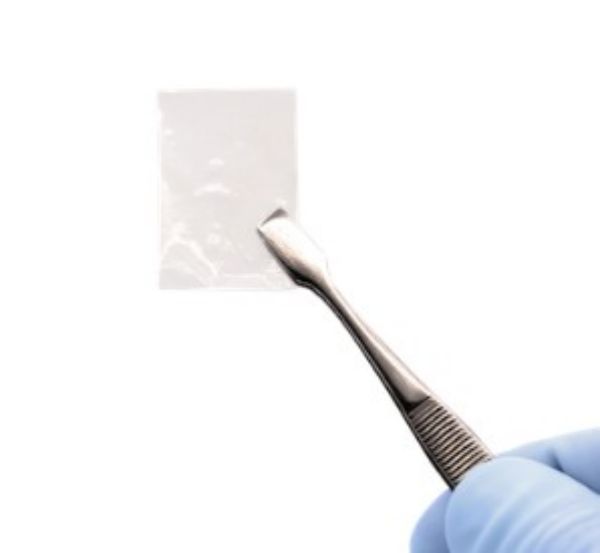 Picture of Amnion/Chorion .8x.8cm