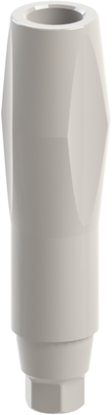 Ritter Implants Peek Scan Body GM-RP Long RITTDI-SB-GM-RPL