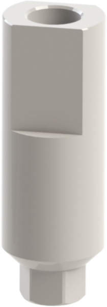 Ritter Implants Peek Scan Body SV-RP (10mm) Long RITTDI-SB-SV-RPL