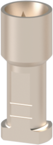 Ritter Implants Implant Replica / Analog CA-NP Implant Replica / Analog CA-NP