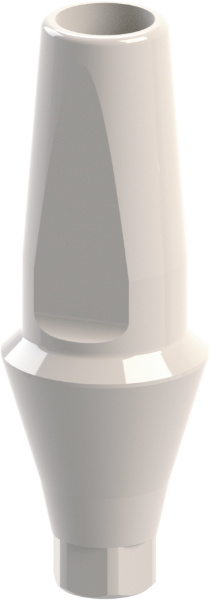Ritter Implants Peek Straight Abutment NA-NP H 3mm RITTDI-PA-NA-NP30