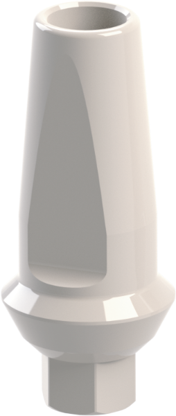 Ritter Implants Peek Straight Abutment SV-WP H 1mm RITTDI-PA-SV-WP10