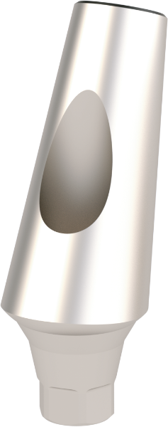 Ritter Implants Angled Standard Ti-Abutment OS-SP 25° RITTDI-TA-OS-SP2500