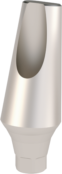 Ritter Implants Angled Standard Ti-Abutment TS-NP/Mini 15° RITTDI-TA-TS-NP1500