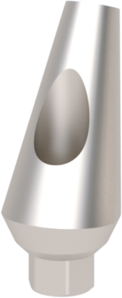 Ritter Implants Angled Standard Ti-Abutment SV-RP 25° RITTDI-TA-SV-RP2500