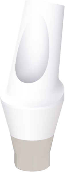 Ritter Implants Zircocam™ Angled Anatomic Zirconia Abutment NA-NP 25° / H 3mm RITTDI-ZAA-NA-NP2530