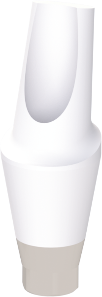 Ritter Implants Zircocam™ Angled Anatomic Zirconia Abutment NA-RP 15° / H 4.5mm RITTDI-ZAA-NA-RP1545