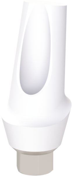 Ritter Implants Zircocam™ Angled Anatomic Zirconia Abutment SV-NP 15° / H 2mm RITTDI-ZAA-SV-NP1520
