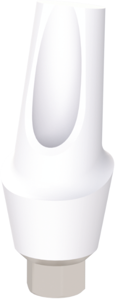 Ritter Implants Zircocam™ Angled Anatomic Zirconia Abutment SV-RP 15° / H 3mm RITTDI-ZAA-SV-RP1530
