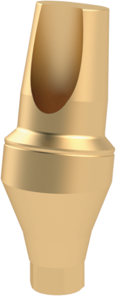 Ritter Implants Clicq-Pression™ Angled Transfer Ti-Abutment TS-NP/Mini 15° / H 3mm RITTDI-TAP-TS-NP1530