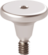 Ritter Implants Healing Ti-Abutment - Ø8.0mm TS-RP H 3mm Posterior RITTDI-HA-TS-RP30P8