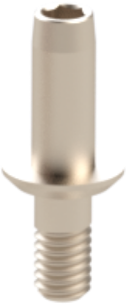 Ritter Implants Guided Pin SV-WP for Bone Profiler (2pc) RITTDI-PROF-SV-WP