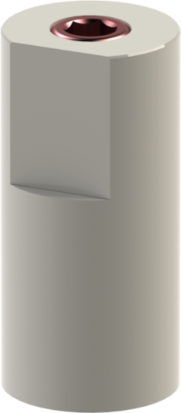 Ritter Implants Multi-Clicq™ CAD/CAM Peek Scan Abutment Hex 1.2mm RITTDI-MUL-KS-SBAR