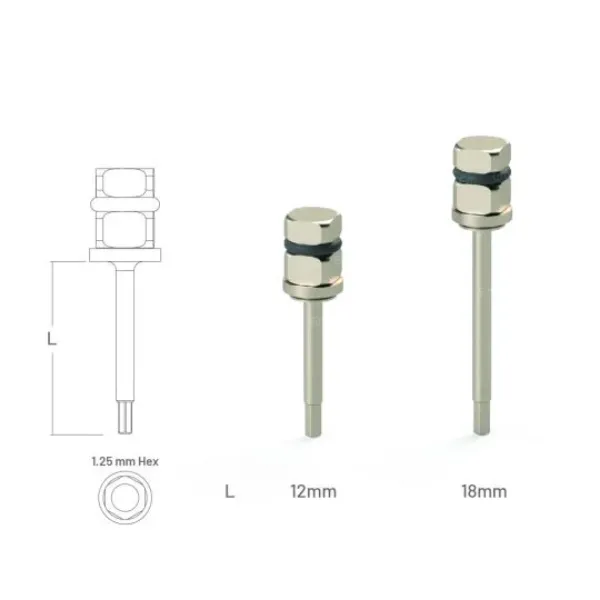 Picture of Ratchet Driver for Screw D:4mm SV Hex 1.27 / Long